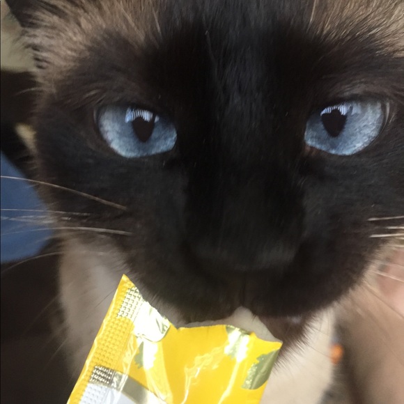 Meet your Posher, Catherine - Picture 3 of 10